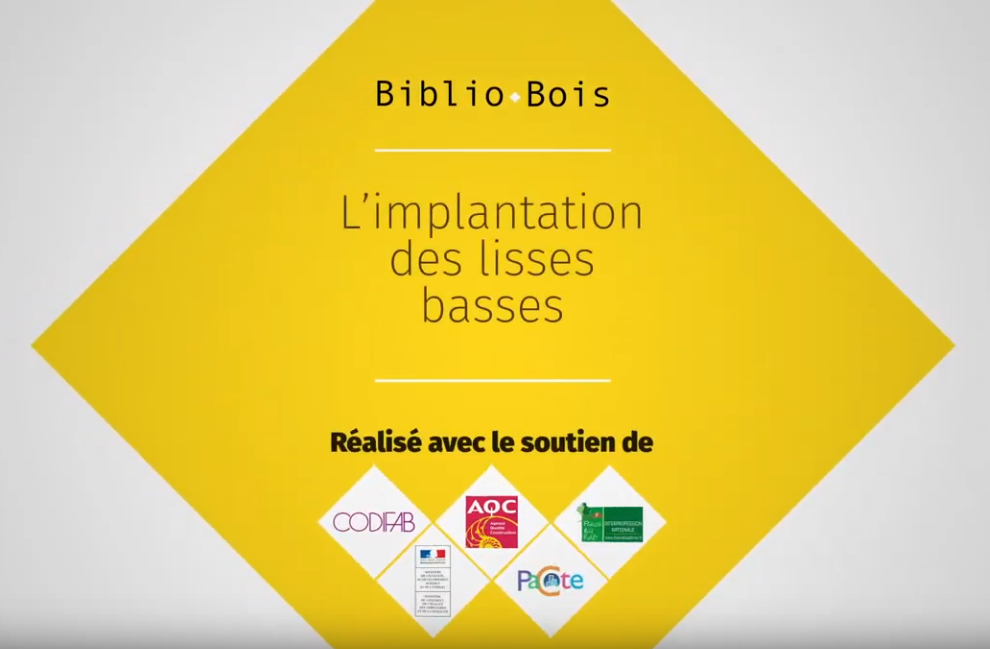 Implantation des lisses basses