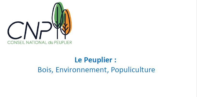 Le peuplier : Bois, Environnement, Populiculture